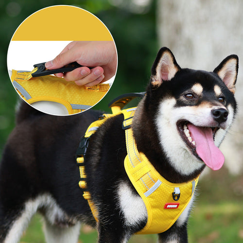 Reflective Oxford Pet Chest Harness with Leash — Adjustable Dog Walking Strap